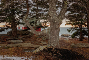 Trees red structure and ocean