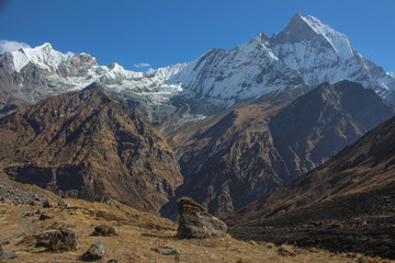 Macchupuchare from Annapurna Base Camp
