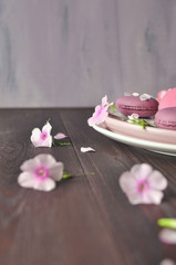 pink cakes and pink flowers art food photography