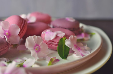 Fototapeta na wymiar pink cakes and pink flowers art food photography