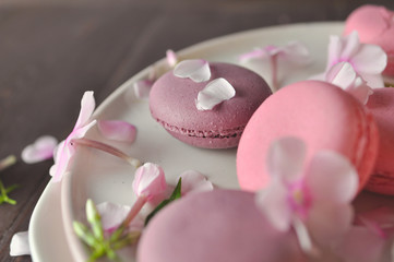 food photography pink cakes macarons 