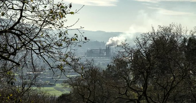 Industrial landscape Timelapse. Scene of Trees and a Factory emitting smoke polluting the atmosphere