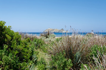 Północne wybrzeże Korsyki, Francja.