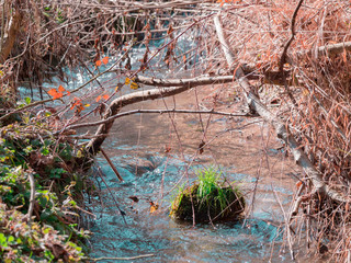 Ruisseau