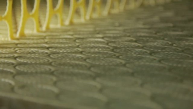 bakery and sweets factory