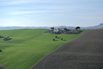 landscape with green field,italy,panorama,view,agriculture,horizon,sky,rural,tree,countryside
