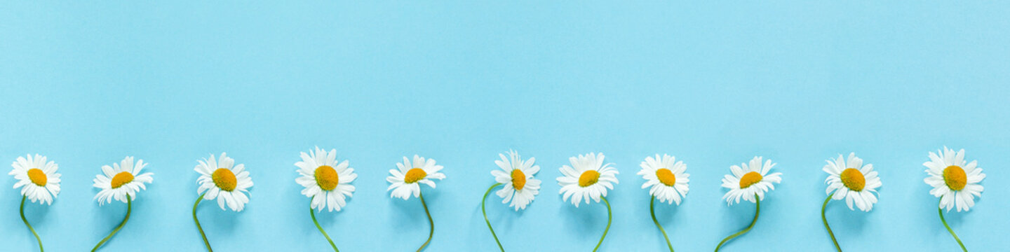 Daisy Chain Photos Royalty Free Images Graphics Vectors Videos Adobe Stock