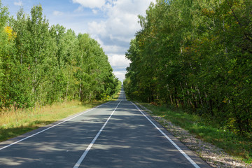 Road through the forest