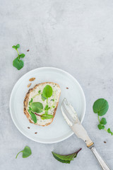 Frisches Brot, mit veganem Frischkäse und Salat auf einem hellen Betonhintergrund