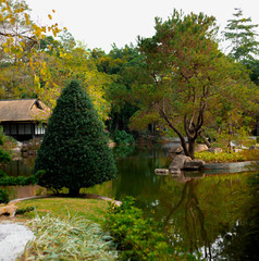 Japanese nature, lots of greenery, pond, trees