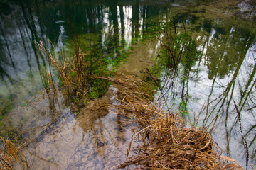 green color Rak river in Rakov Škocjan valley