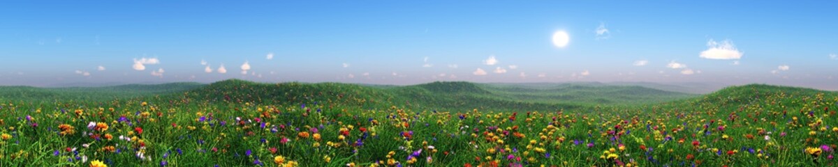 Fototapeta premium Panorama of a flower meadow, flower hills view, grass and flowers under a blue sky, flowering slope under the sun, hills in flowers, green hills with flowers