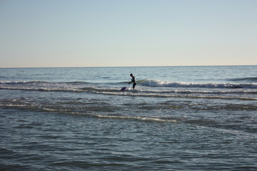 man plunged in the sea fishing and collects tellines or clams or other seafood on a winter day