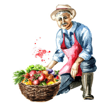 Senior farmer sits on one knee with basket full of fresh vegetables. Watercolor hand drawn illustration, isolated on white background