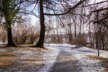 Park in early spring