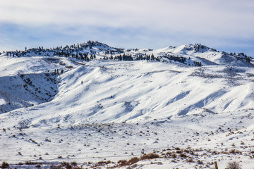 Fototapeta na wymiar Sierra Nevada Mountains Covered In Snow