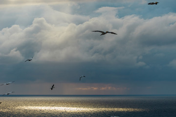 Fototapeta na wymiar Wolken über Meer mit fliegenden Seevögeln