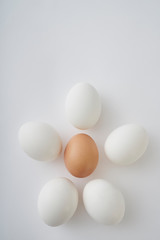 White eggs around the brown egg on the white background formed a five-pointed star