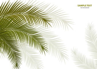 Tropical background. Realistic palm tree leaves. Exotic beauty for travel Design, promotion and marketing. Vector illustration - Vector graphics