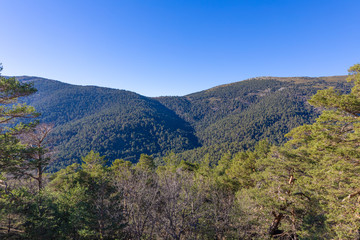 Fototapeta na wymiar beautiful landscape with blue sky, green pine tree forest in mountains of Fuenfria Valley, in Natural Park of Guadarrama (Cercedilla, Madrid, Spain, Europe)