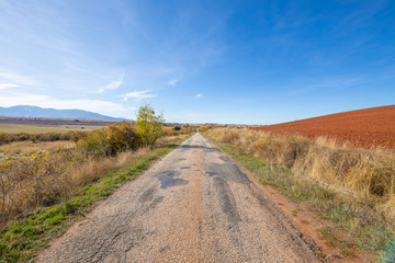 landscape straight rural lonely bumpy road with old asphalt in poor condition pavement, in countryside of Segovia (Castile, Spain Europe)
