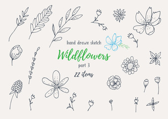 Vector Collection Of Hand Drawn Sketches With Plants. Botanical Set Monochrome Image Of Wild Of Sketch Flowers And Branches. Black And White Elements For Coloring.