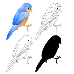Small bird Thrush Bluebird silhouette and outline nature  on a white background vintage vector illustration editable hand draw