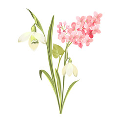Purple Lilac flowers of syringa and white galanthus. Botanical illustration for spring bouquet. Spring time concept card with blooming flowers isolated over white background. Vector illustration.