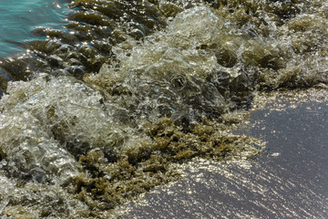 beautiful background. the sea wave runs on the sandy shore leaving a lot of bright highlights