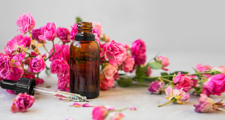 Fototapeta na wymiar Rose oil. Spa and aromatherapy rose flowers essential oil bottle with pipette