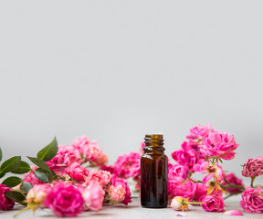 Rose oil. Spa and aromatherapy rose flowers essential oil bottle with copy space