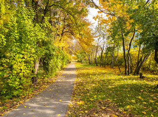 Naklejka premium Promenade alley in arboretum in Zelenograd in Moscow, Russia
