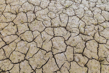 cracked earth, texture, Image of drying mud which can be used as background or pattern.