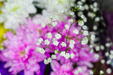 Beautiful gift bouquet of various colorful decorative summer flowers