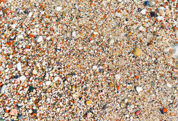 Small rocky cover the sea coast