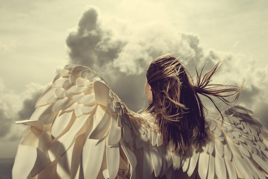 158,615 BEST Angel Wings IMAGES, STOCK PHOTOS & VECTORS | Adobe Stock