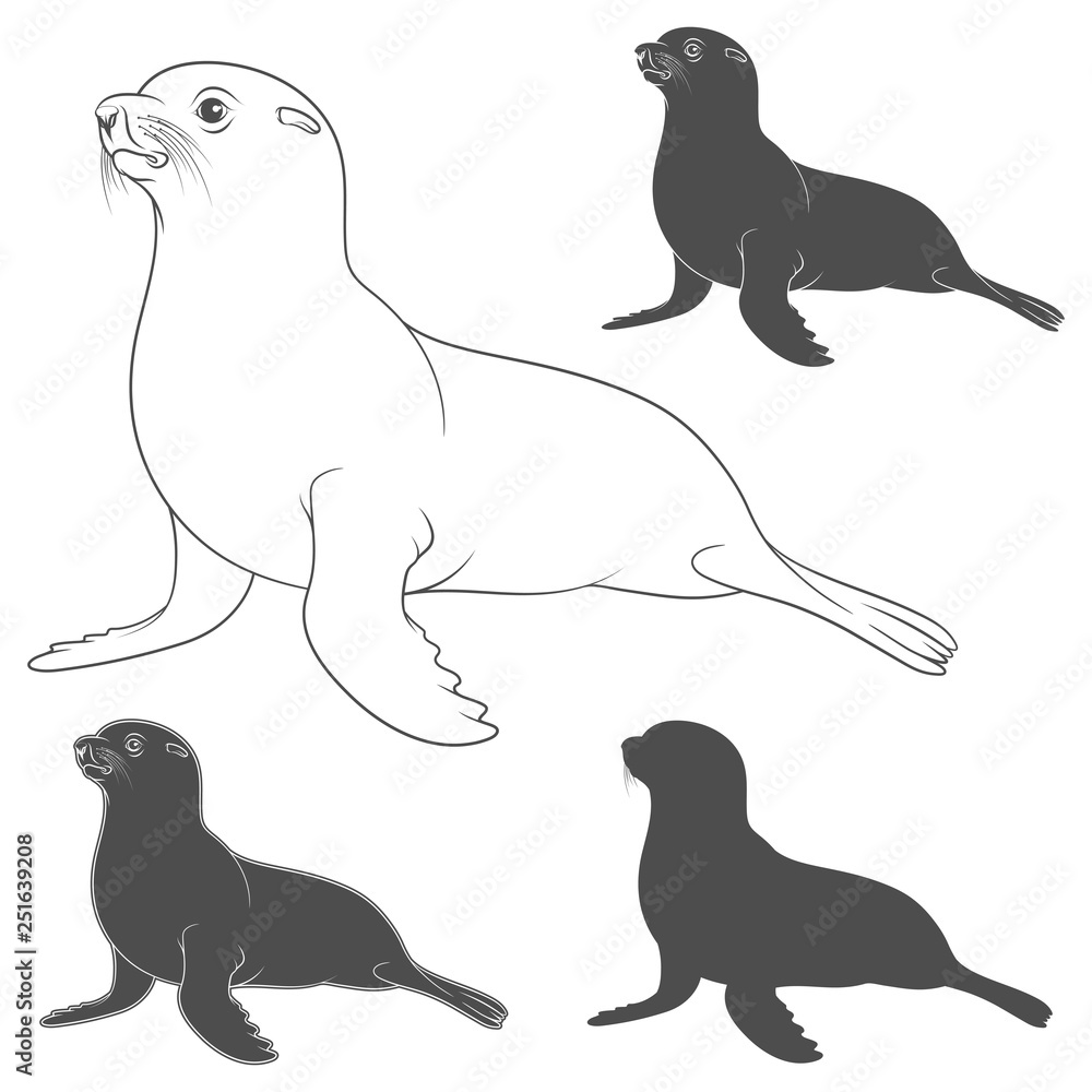 Poster set of black and white illustrations with a fur seal. isolated vector objects on white background.