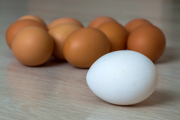 Big white egg and group of yellow eggs on kitchen table light background. Healthy organic food, delicious meal, cholesterol and diet concept.