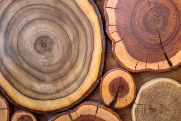 Round wooden unpainted solid natural ecological soft colored brown and yellow crackled stumps background, tree cut sections with annual rings different sizes and forms, background texture.