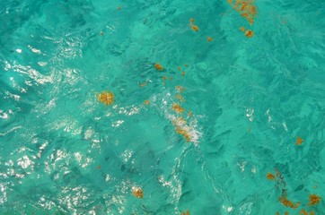 Fototapeta na wymiar cool blue water in the caribbean