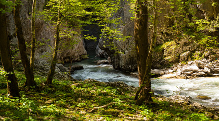 Obraz premium Timavo river, Slovenia
