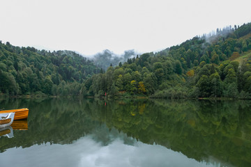 Fototapeta na wymiar lake and misty forest in mountains in a rainy day