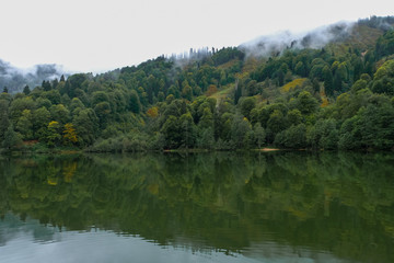 Fototapeta premium lake and misty forest in mountains in a rainy day