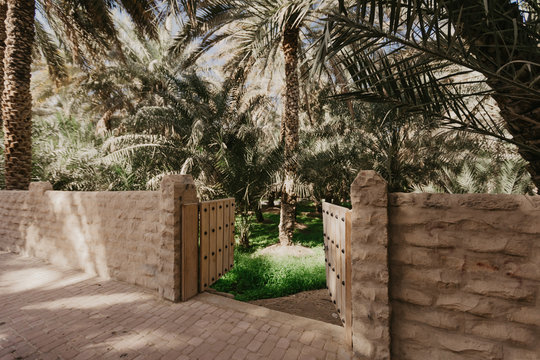 View of the unesco enlisted oasis in Al Ain, UAE