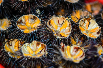 Open sea urchins ready to be eaten. Landscape format.
