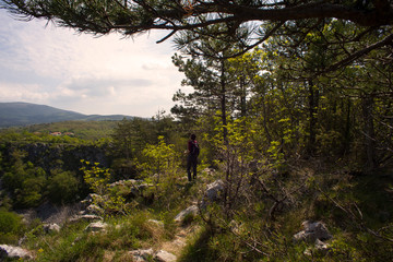 Naklejka premium Skocjanske jame, Slovenia