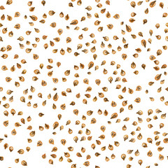 Seamless pattern with coriander on a white background. Drawing with colored pencils. 
