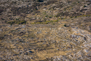 Mountain paths, alpine paths