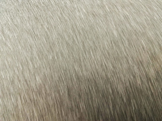 Gray oblique blurred strokes gradient background