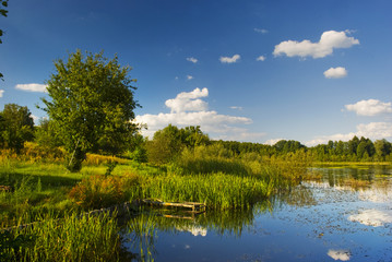 Colorful spring landscape